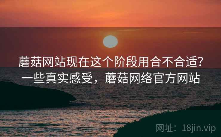 蘑菇网站现在这个阶段用合不合适？一些真实感受，蘑菇网络官方网站
