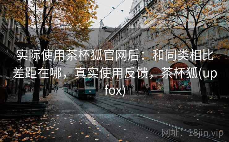 实际使用茶杯狐官网后：和同类相比差距在哪，真实使用反馈，茶杯狐(upfox)