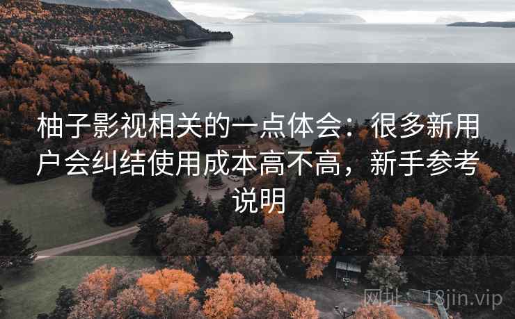 柚子影视相关的一点体会：很多新用户会纠结使用成本高不高，新手参考说明